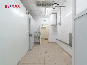 Pronájem obchodního prostoru, Plzeň, 181 m2