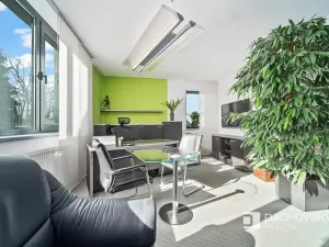 Prodej obchodního prostoru, Pardubice, K Dolíčku, 374 m2