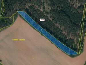 Dražba lesa, Náměšť nad Oslavou, 3001 m2