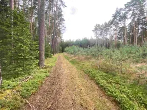 Dražba pozemku, Kladruby, 1744 m2