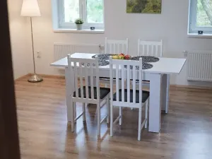 Pronájem apartmánu, Ostrava, Riegrova, 300 m2