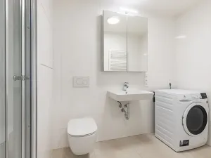 Pronájem bytu 1+kk, Brno, Lidická, 41 m2