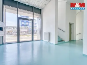 Pronájem bytu 1+kk, Plzeň - Severní Předměstí, Otýlie Beníškové, 29 m2