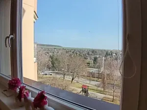 Prodej bytu 2+1, Uherský Brod, Luhanova, 63 m2