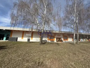 Prodej obchodního prostoru, Dačice, B. Němcové, 600 m2