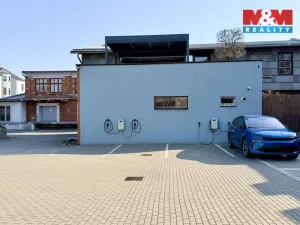 Pronájem kanceláře, Ostrava, Brandlova, 234 m2