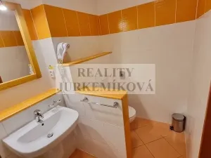 Prodej bytu 1+kk, Frymburk, 30 m2