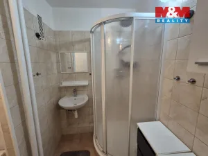 Prodej bytu 1+1, Ostrava - Výškovice, Srbská, 41 m2