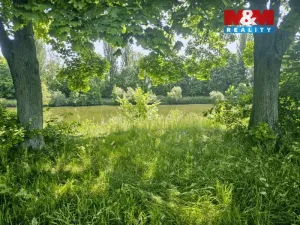 Prodej louky, Hradec Králové - Pražské Předměstí, 4850 m2