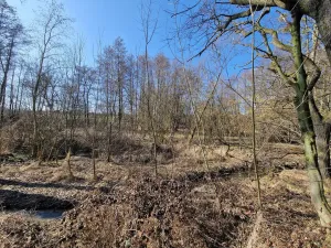 Prodej pozemku, Velká Polom, Okružní, 6038 m2