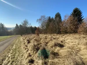 Prodej pozemku pro bydlení, Postupice, 1868 m2