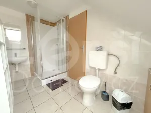 Prodej ubytování, Zlaté Hory, 330 m2