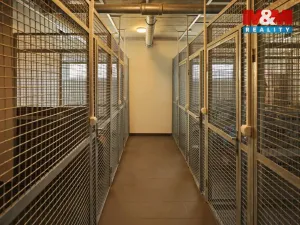 Pronájem bytu 2+1, Jihlava, Okružní, 67 m2