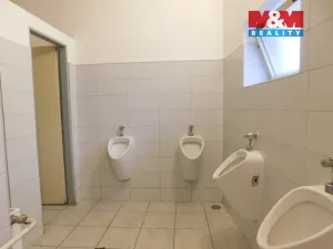 Pronájem restaurace, Kasejovice, 700 m2