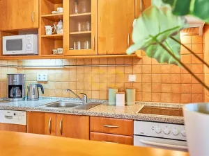 Prodej bytu 1+kk, Horní Planá, Jenišov, 43 m2