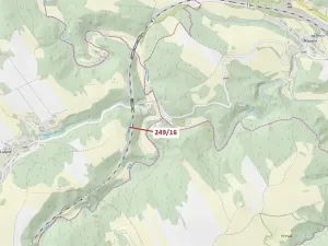 Dražba lesa, Lubné, 802 m2