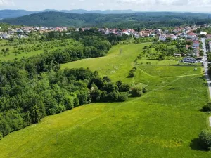 Prodej komerčního pozemku, Petrůvka, 2190 m2