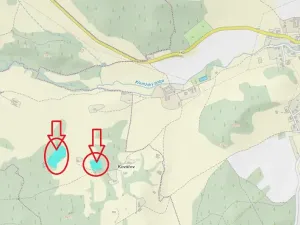 Prodej podílu lesa, Brloh, 5446 m2