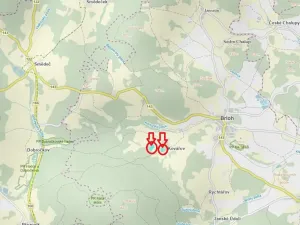 Prodej podílu lesa, Brloh, 5446 m2