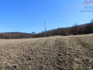 Prodej pozemku, Loděnice, 5981 m2