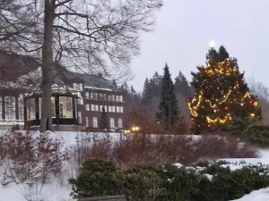 Prodej pozemku pro bydlení, Karlova Studánka, 900 m2