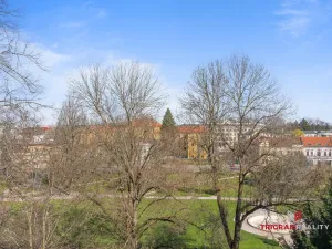 Pronájem bytu 1+kk, Hradec Králové, Dlouhá, 25 m2