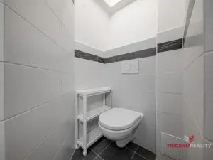 Pronájem bytu 1+kk, Hradec Králové, Dlouhá, 25 m2