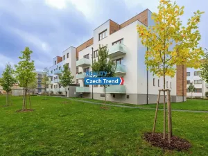 Pronájem bytu 2+kk, Olomouc, Třída Jiřího Pelikána, 59 m2