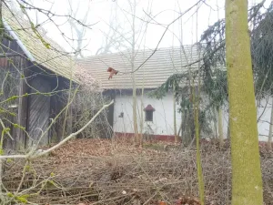 Dražba chaty, Milevsko, 100 m2