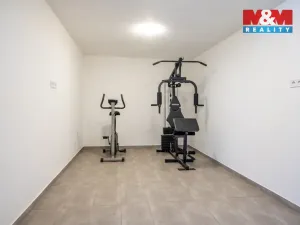 Prodej obchodního prostoru, Šumavské Hoštice - Kosmo, 316 m2