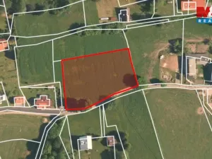 Prodej pozemku pro bydlení, České Petrovice, 3216 m2