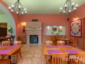 Prodej restaurace, Týnec nad Sázavou, 479 m2