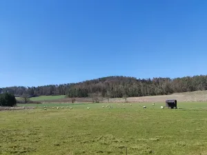 Prodej pozemku pro bydlení, Horažďovice, 2250 m2