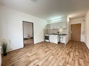 Pronájem bytu 1+1, Litvínov, Rooseveltova, 37 m2