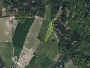 Prodej pole, Borek, 36010 m2