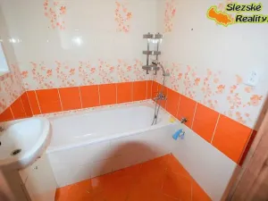 Prodej bytu 2+kk, Ostrava, Řecká, 65 m2