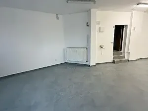 Pronájem vícegeneračního domu, Mladá Boleslav, Jiráskova, 490 m2