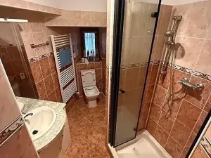 Pronájem vícegeneračního domu, Mladá Boleslav, Jiráskova, 490 m2