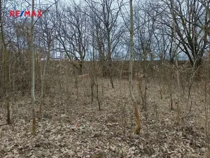 Prodej pozemku, Zábřeh, 3482 m2