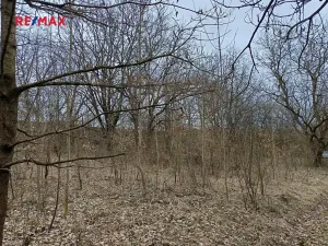 Prodej pozemku, Zábřeh, 3482 m2