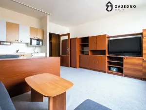 Pronájem bytu 1+kk, Brno, Oblá, 31 m2