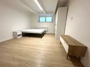 Pronájem bytu 1+1, Praha - Michle, Michelská, 30 m2