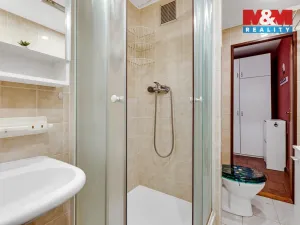 Prodej bytu 2+1, Holoubkov, 61 m2