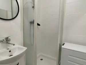 Pronájem bytu 2+1, Karviná, Haškova, 55 m2