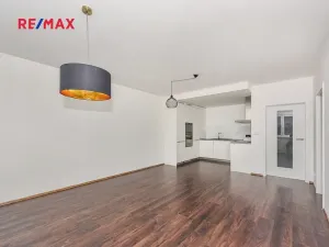 Pronájem bytu 2+kk, Plzeň, Rybářská, 70 m2