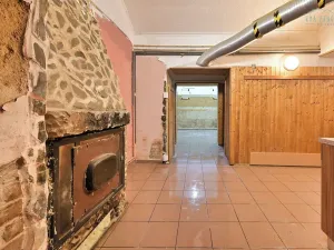 Prodej restaurace, Plzeň, Nerudova, 134 m2