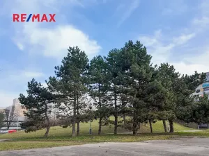 Prodej bytu 3+1, Praha - Chodov, Mikulova, 64 m2