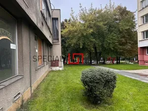 Pronájem skladu, Orlová, Masarykova třída, 200 m2