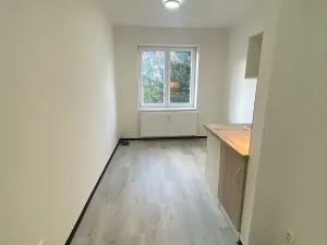Pronájem bytu 1+kk, Praha - Hlubočepy, Na Zlíchově, 17 m2