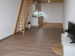 Pronájem bytu 1+kk, Chrudim, Resselovo náměstí, 55 m2